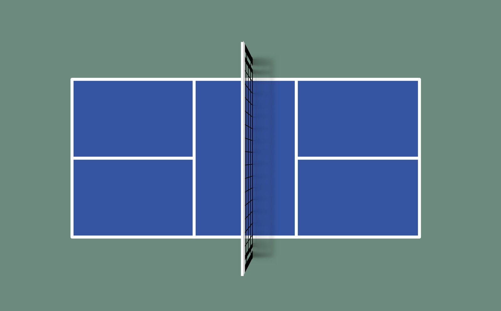 Pickleball Game Action